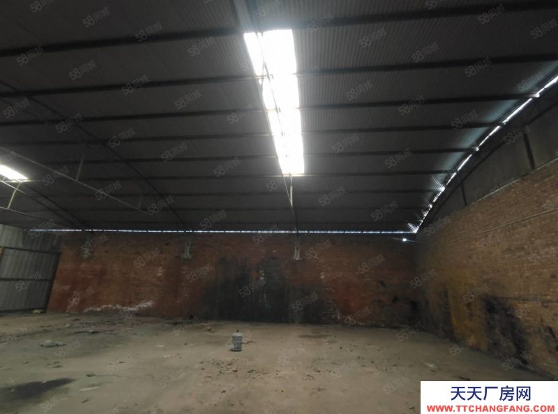 (出租) 廠房 倉庫出租 300平1000平可分租可整租西中環長興南街