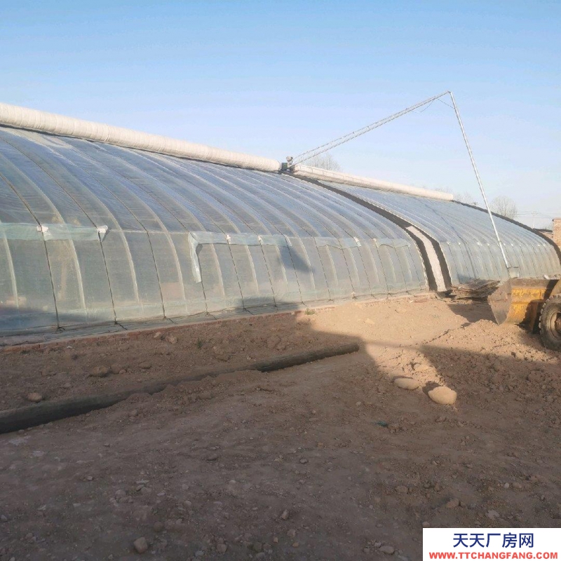 (出租) 現有新型溫室大棚帶多院子整體出租