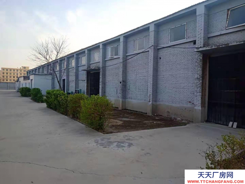 石家莊 行唐城區九都商貿城西南200米路南