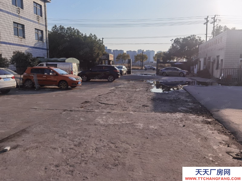 杭州西湖區(qū) 獨門獨院廠房 總價低 隨時看房 產權齊全