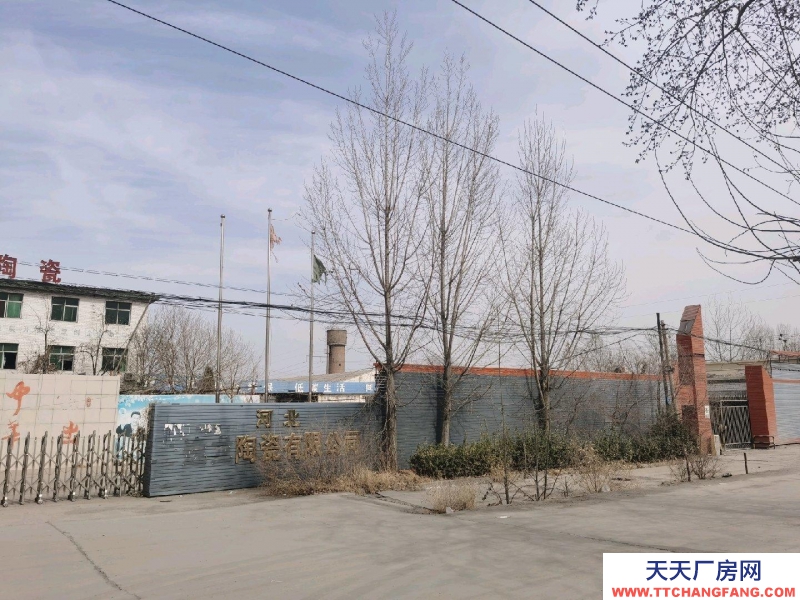 石家莊 高邑面積約50畝，租金可談