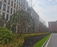 (出售) 武漢洪山區現房1500方獨棟廠房開發商直售,首付225萬,零公攤