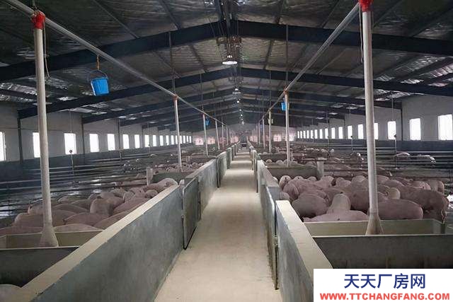 石家莊 深澤 出租養(yǎng)殖場20畝地水電辦公室齊全