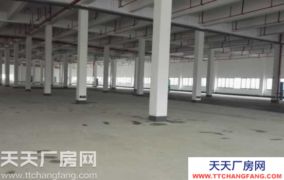 長沙市岳麓區(qū)52000平米大面積廠房招租