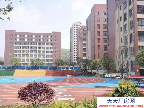 長沙市岳麓區標準混疑土框架結構有標準運動場地招租