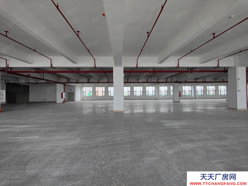 (出租)廣州 從化太平鎮新出2600平帶化妝品環評紅本廠房出租實際面積可分