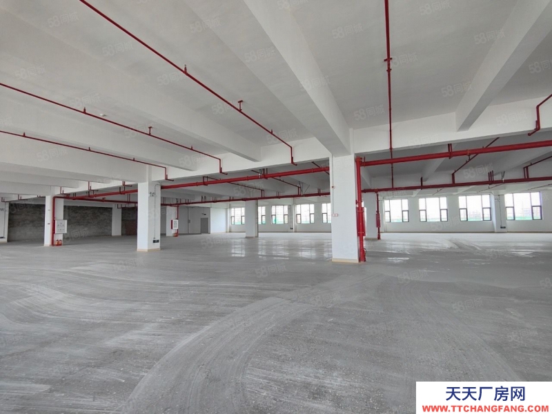 (出租)廣州 從化太平鎮新出2600平帶化妝品環評紅本廠房出租實際面積可分