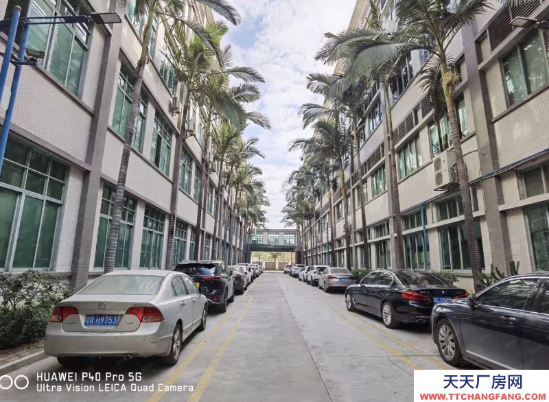 (出售) 廣州市從化區廠房建筑面積28300國有雙證廠房.，升，空間大
