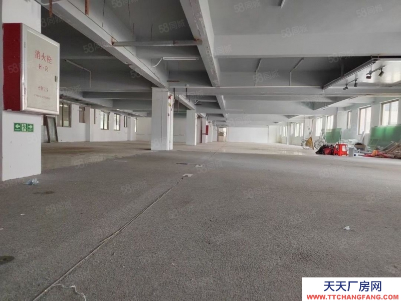 (出售)廣州 南沙區獨門獨院靚盤出售