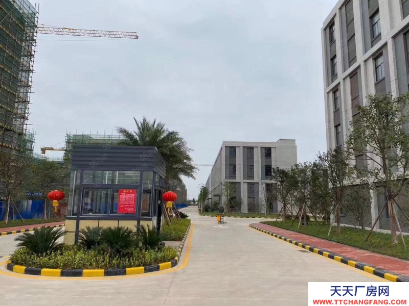 (出售) 廣州南沙地鐵旁首付兩成紅本800到20000方獨棟分層廠房出售!