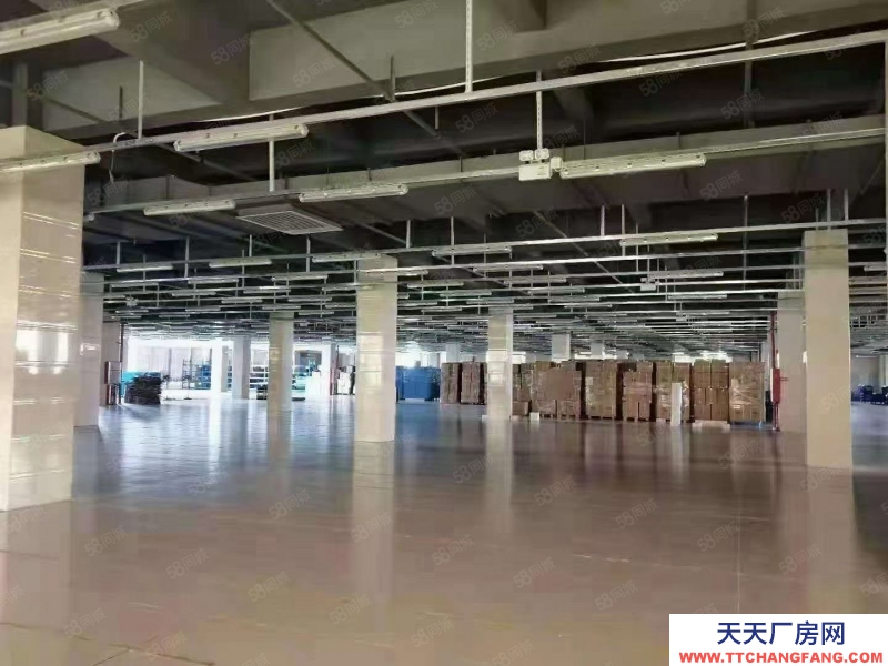 (出售) 廣州南沙區(qū)中心位置占地5.6畝獨院出售 近臨地鐵套配完善