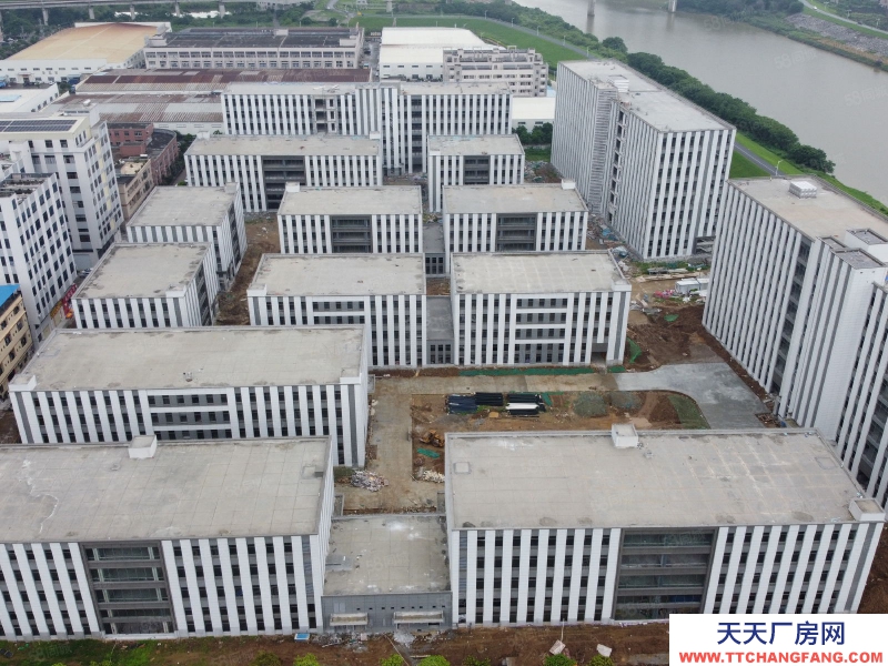 (出售) 廣州南沙一二層廠房，7米高可進行車，50年國有工業(yè)集聚，宿舍食堂