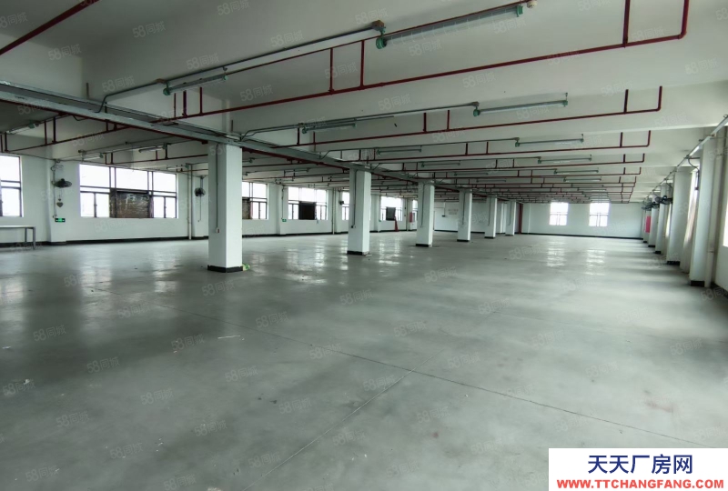 (出售) 廣州南沙全新裝修獨(dú)門獨(dú)院3500方標(biāo)準(zhǔn)廠房出售，價格便宜證件齊全