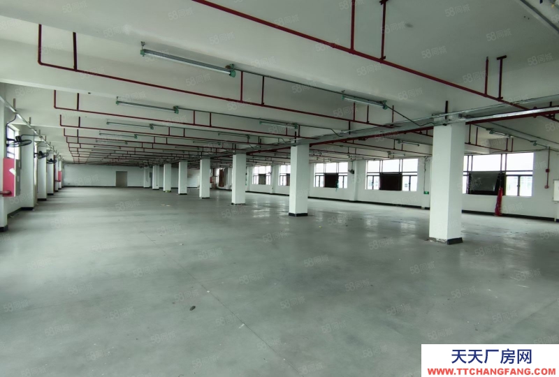 (出售) 廣州南沙全新裝修獨(dú)門獨(dú)院3500方標(biāo)準(zhǔn)廠房出售，價格便宜證件齊全