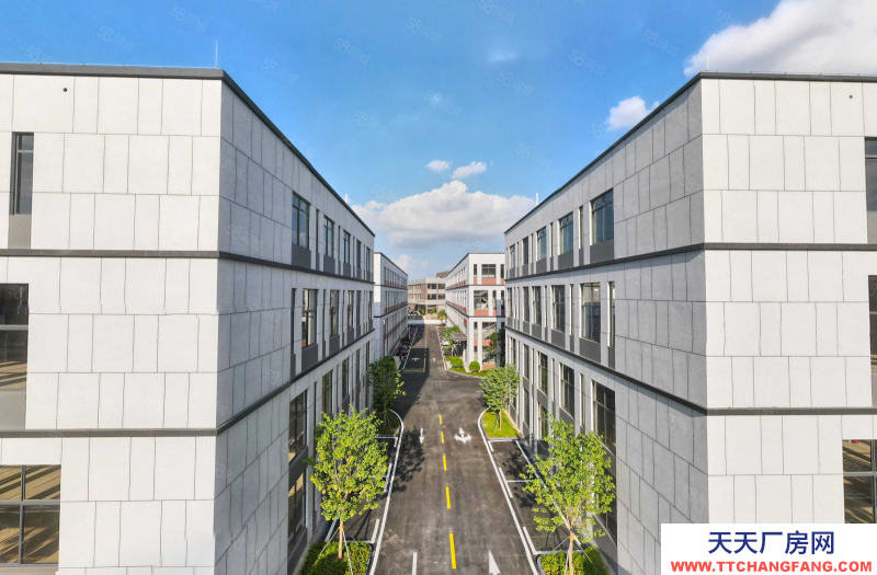 (出售) 南沙東涌廠房 800方起 全新 帶車位飯堂宿舍