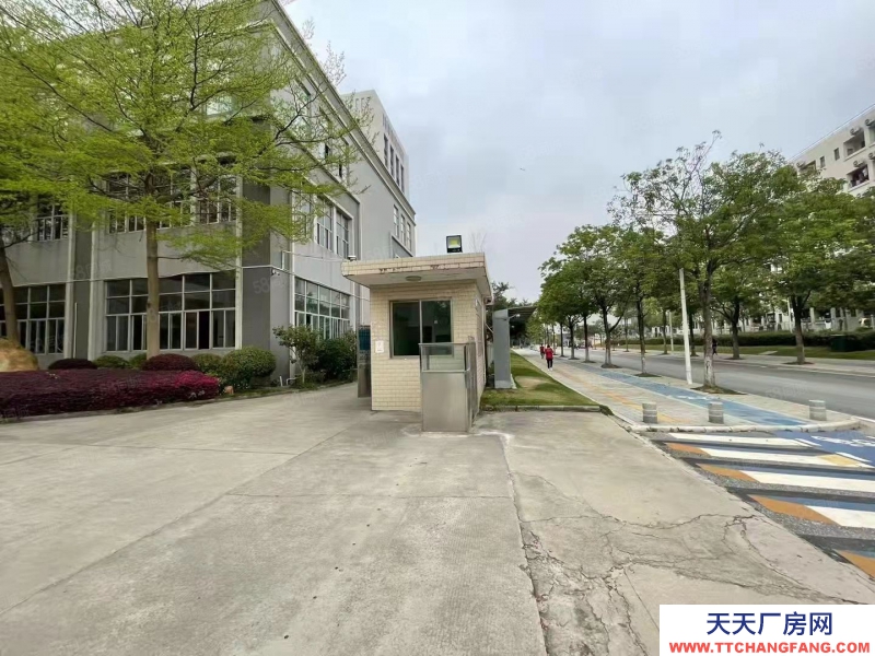 (出租) 廣州南沙東涌高端科創園區新裝修廠房辦公室倉庫300起租帶環評