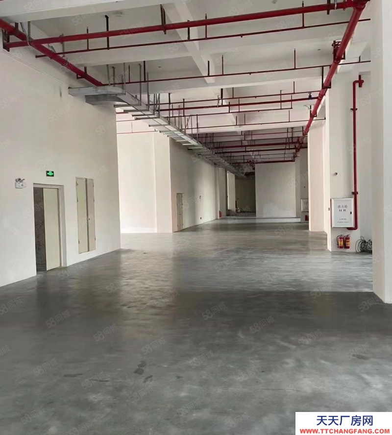 (出租) 廣州南沙45000方全新高質量多功能園區廠房，精裝修，可分租
