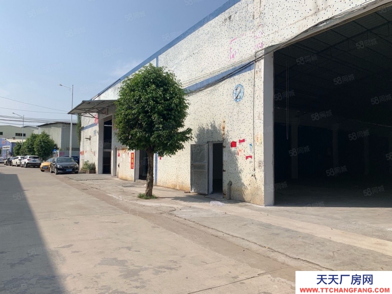 (出租) 廣州南沙大崗鋼構廠房 倉庫660平方1580平方4400平方出租