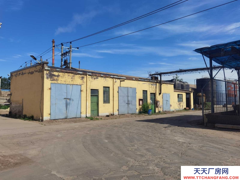 石家莊 辛集庫房、廠房、辦公室。有水、電、蒸汽