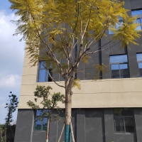 重慶巴南大江廠工業園標準化廠房50年獨立產權