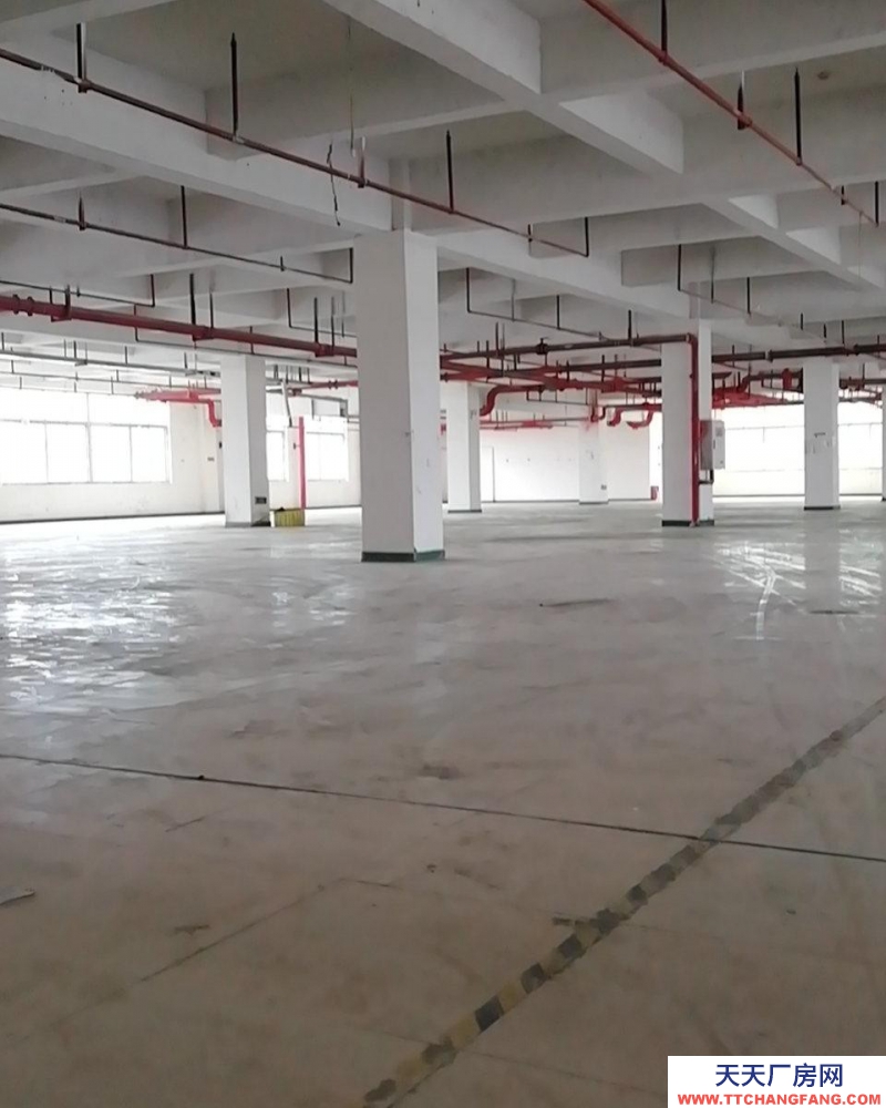 重慶長壽高新區家具工業園，形象好，可做水性噴漆可辦環評