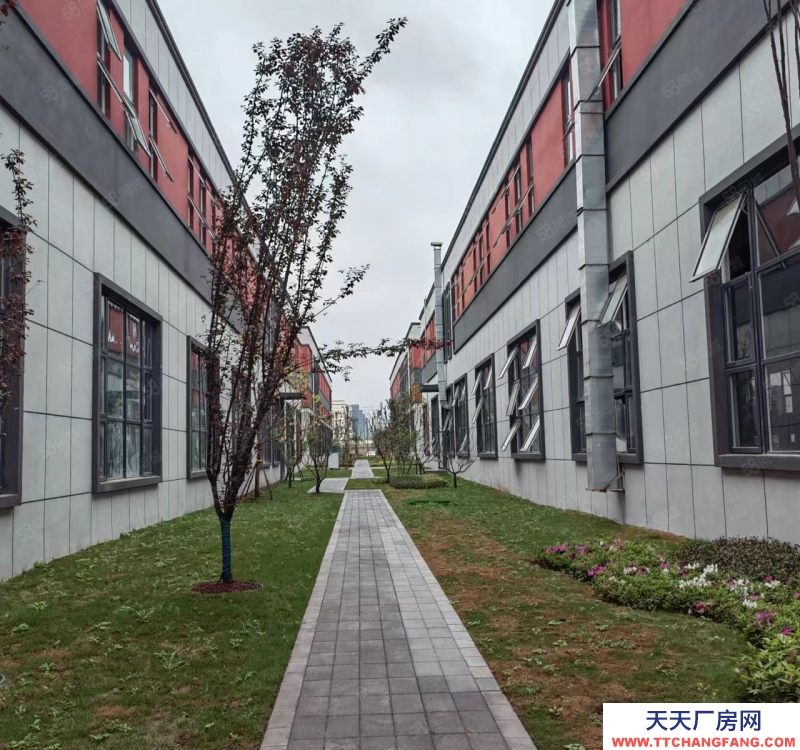 重慶壁山比亞迪背后中南高科獨棟廠房出租(5400平米