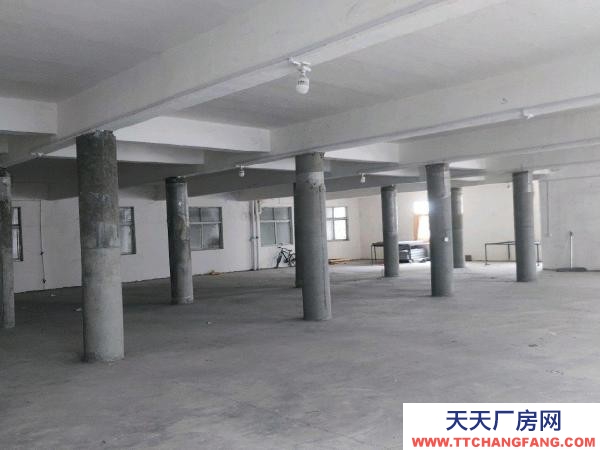 (出租) 鄭州中原房東直租全市可售。