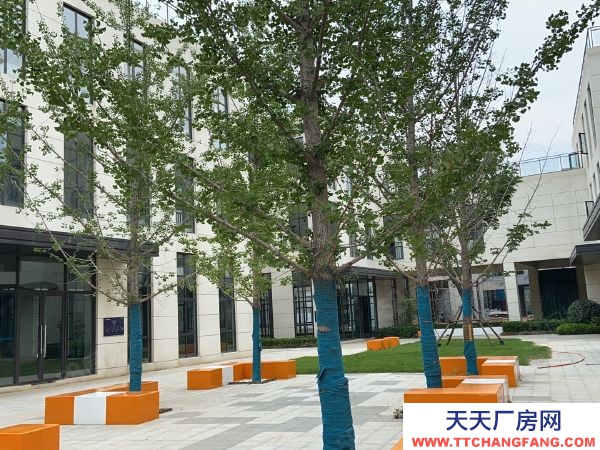 (出售) 鄭州中原薛店，港區周邊平層廠房，企業獨棟