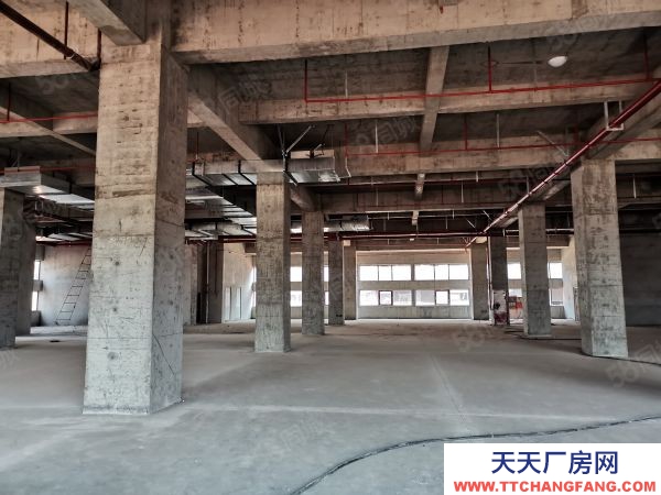 (出租) 全新標準化廠房 租售 宿舍食堂等全面配套