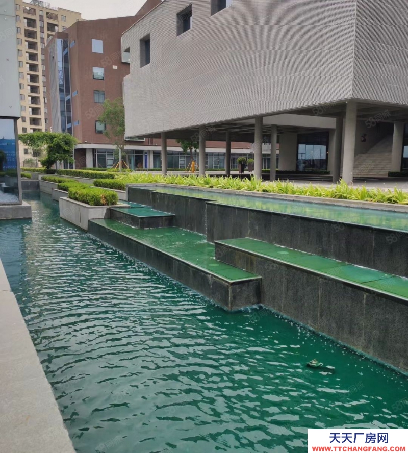 (出售) 鄭州管城華南城周邊大平層廠房，倉庫，企業獨棟