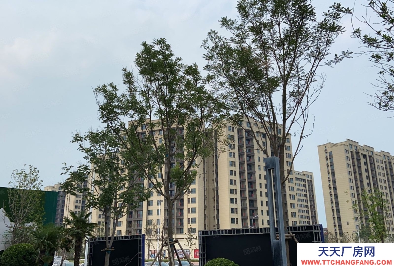 (出售) 鄭州管城華南城周邊大平層廠房，倉庫，企業獨棟