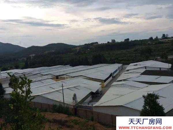 (出租) 自建廠房，交通便利，證照齊全