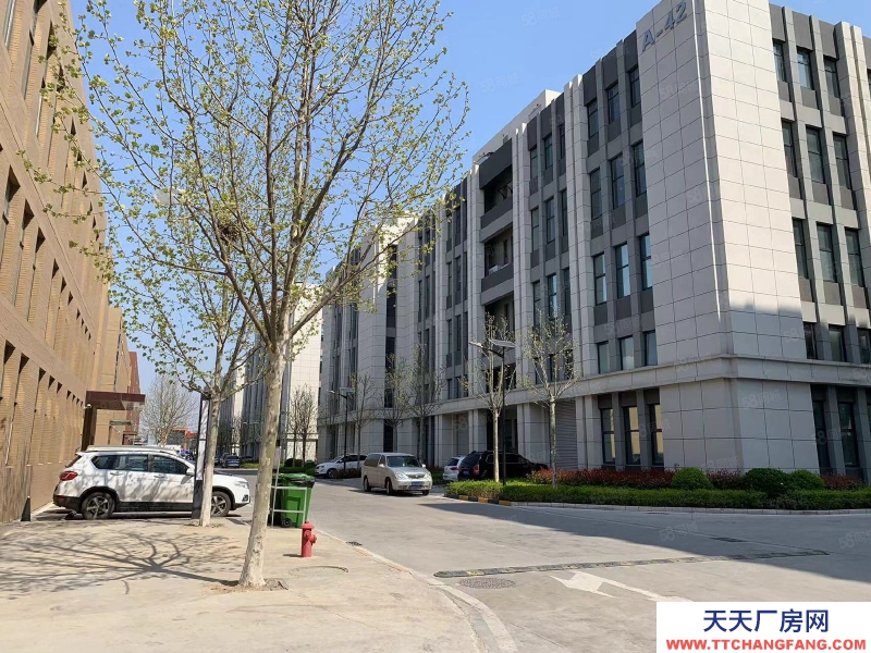 青島市南現房 就一套 三層獨棟 1200平 首層8.1 可按揭