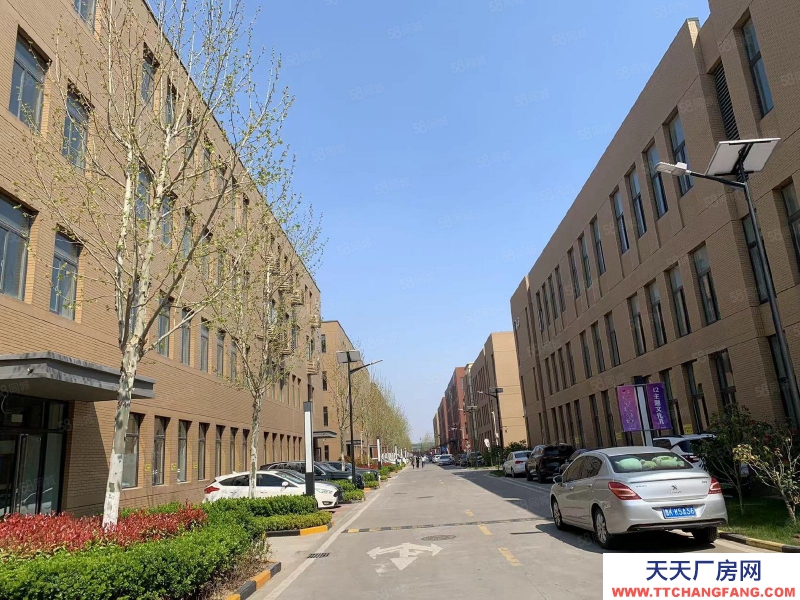 青島市南現房 就一套 三層獨棟 1200平 首層8.1 可按揭