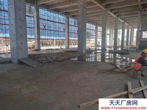 南京市鼓樓區中國南山 橋林唯一在售廠房 交通便利 產業集聚 層高8.1米