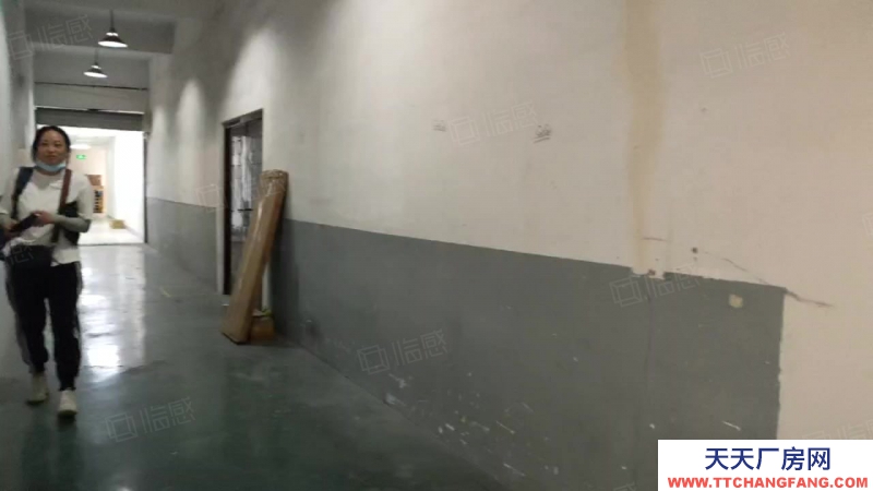 杭州上城(出租) 直租城東新城倉(cāng)庫(kù)330方特價(jià)處理，層高4米，后一間得房率高