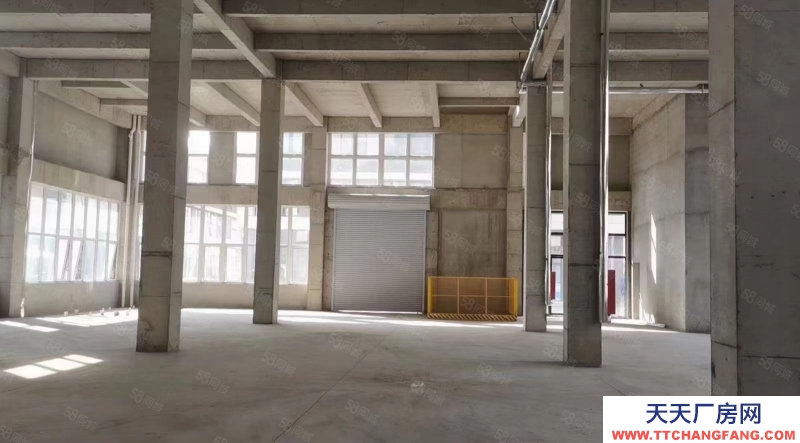 青島市南204國(guó)道旁大產(chǎn)權(quán)廠房 8.1米層高 現(xiàn)房可貸款低首付