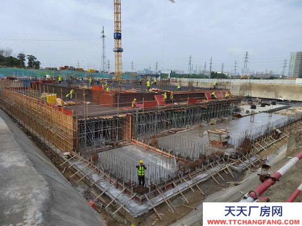 南京市秦淮區(qū)金芒果產(chǎn)業(yè)園 高速口 雙地鐵 可按揭 生產(chǎn)研發(fā)辦公一體