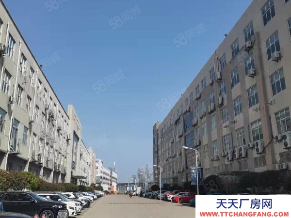 南京市秦淮區非中介 花園獨棟 政府載體 二層獨棟