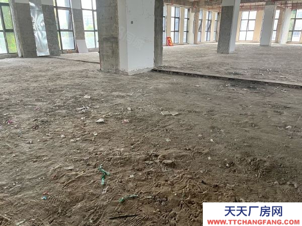 南京市秦淮區 大明路 卡子門 南站產業園區 層高6米 辦公倉儲面積可分割