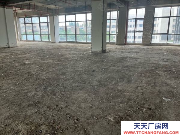 南京市秦淮區 大明路 卡子門 南站產業園區 層高6米 辦公倉儲面積可分割