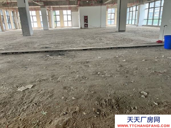 南京市秦淮區 大明路 卡子門 南站產業園區 層高6米 辦公倉儲面積可分割
