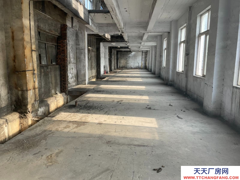 青島市北獨(dú)門獨(dú)院廠房出租