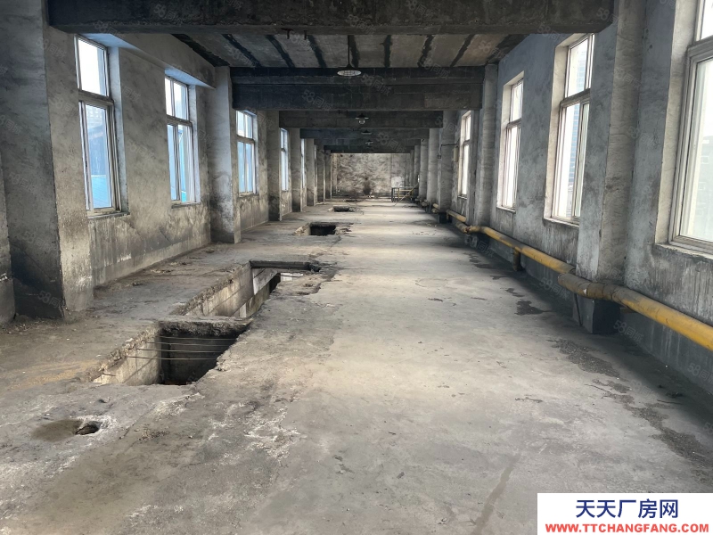 青島市10000平米廠房出租