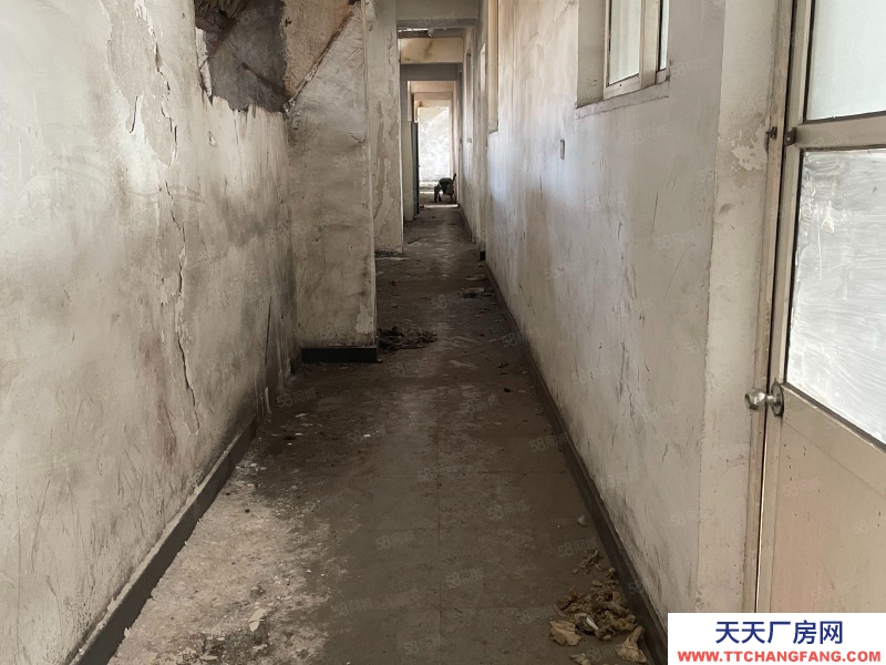 青島市10000平米廠房出租