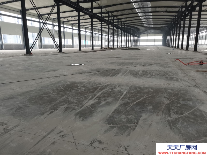 (出租) 重慶永川鳳凰湖工業園18000平標準鋼結構廠房出租