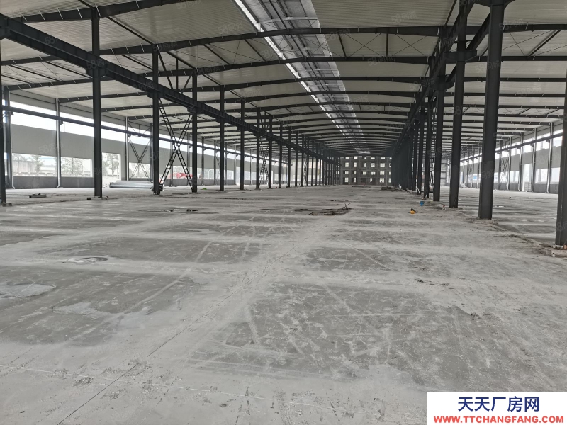 (出租) 重慶永川鳳凰湖工業園18000平標準鋼結構廠房出租