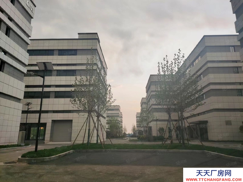 青島市北9米層高，3000平2層獨棟，出售