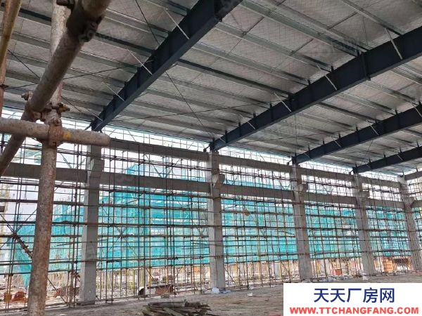 南京市六合區急急 天長市開發區 坤安智造 5萬平直售