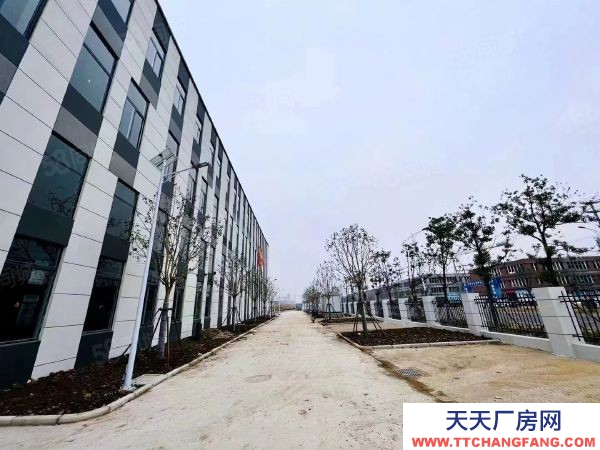 南京市六合區急急 天長市開發區 坤安智造 5萬平直售